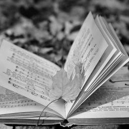 Ein Notenbuch im Herbstlaub
