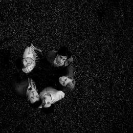 Frisch Gepresst, Giant Rooks