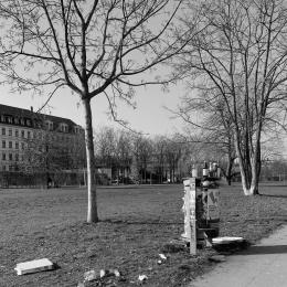 auf dem Foto ist ein überfüllter Mülleimer im Lene-Park