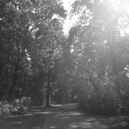 Park, Spaziergang