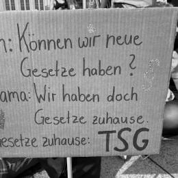 Ein Demoschild mit der Aufschrift "Ich: Können wir neue Gesetze haben? Mama: Wir haben doch Gesetze zuhause. Gesetze zuhause:TSG