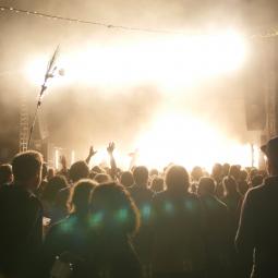 Immergut 2019