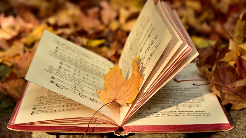 Ein Notenbuch im Herbstlaub