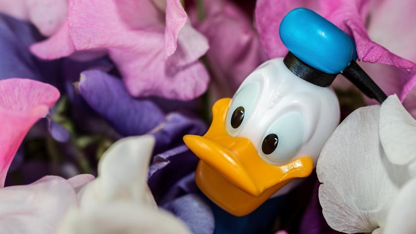 Donald Duck-Figur