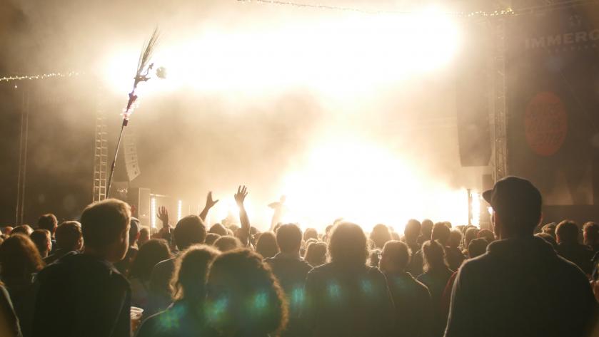 Immergut 2019